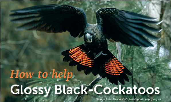 New Glossy Fact Sheet